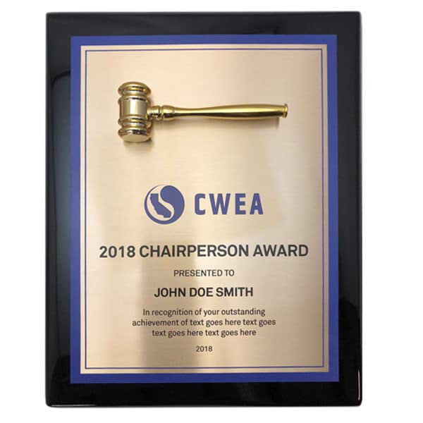 California Water Environmental Association Chairperson Award