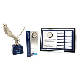 Annual Award Programs